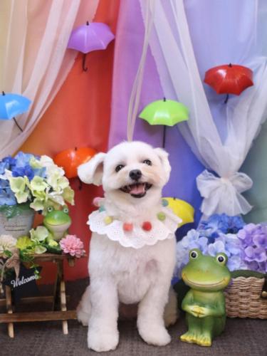 20230621うるちゃん